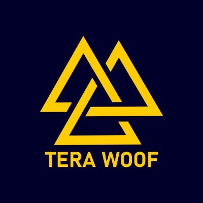 TeraWoofStudio's profile picture. we provide a comprehensive suite of IT services designed to help companies scale faster, operate smarter, and innovate with confidence.
