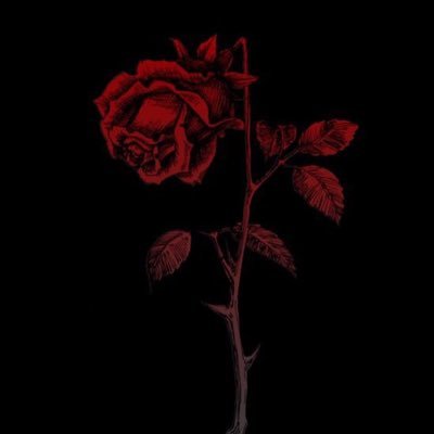 AliceXicE's profile picture. 