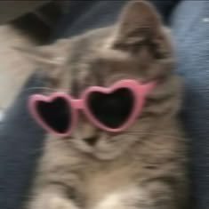 gassycloudd's profile picture. 22, F, bi gassy af🩷 🪐✨🎀🧚🏻‍♀️🌙.⋆.˚✮ 🎧 ✮˚.⋆. ݁₊ ⊹ . ݁˖ . ݁