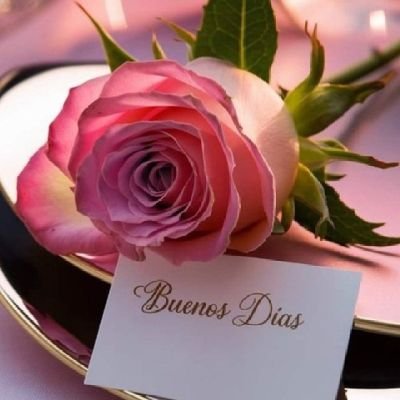 Janita63's profile picture. Creo en Dios y Creo en la justicia. Todo lo bueno que se hace por la humanidad y los animales, la vida lo recompensa.