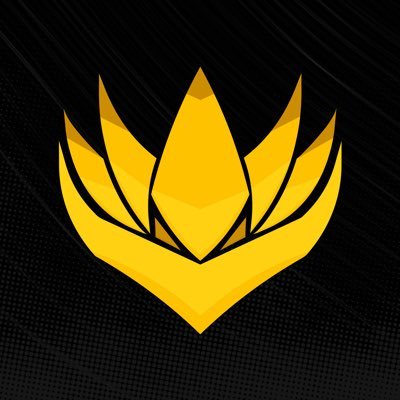 astrallegendshn's profile picture. Equipo Competitivo de Valorant 🇭🇳  Creadores de Contenido 🎥 | ESPORTS 🦉💛