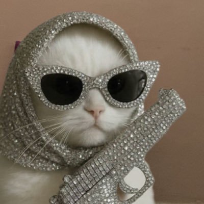 BotDemolition's profile picture. 