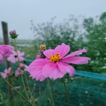 kafiislam190's profile picture. Follow back 💯💯💯