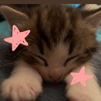 gigglixx81602's profile picture. love to create website || Web developer ||  
Serving memes with a side of nature. Wallpapers, laughs & vibes — all in one scroll.