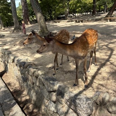 ChalternL92063's profile picture. 