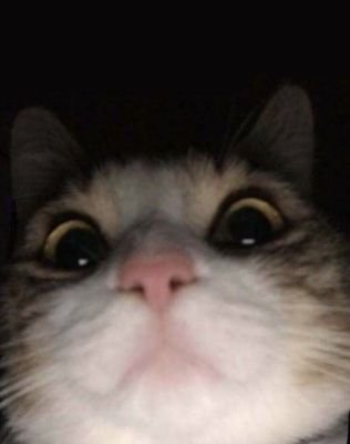 muuzammil_01's profile picture. Keep praying for your loved ones 🫶🏻♥️