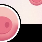 NbNb1235605's profile picture. 