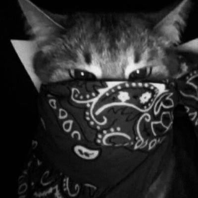 Theking0xx's profile picture. I HODL SOL, ETH, and BNB because I believe in the potential of their ecosystems