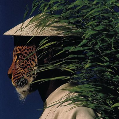 decomposuer's profile picture. find me where blue and green meet