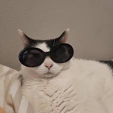 vrechson's profile picture. Computer Engineering UFSCar '16, bug hunter and ELT CTF player // @duph0use