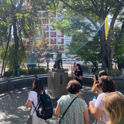 mod1624's profile picture. 2026年度名古屋大学経済学部第3年次編入試験合格(名大一本＋ほぼ独学)🌸 TOEIC910で出願