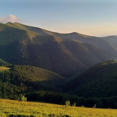 ArtemN4216's profile picture. 