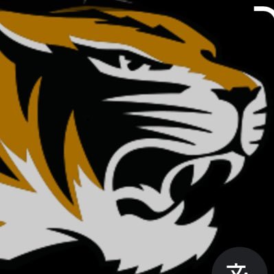 MushJoeythe's profile picture. I suck at all things gambling and I have a YouTube channel