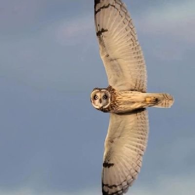 Best_believ's profile picture. "Why so serious?"