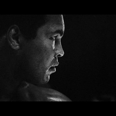 IamLarrysung's profile picture. 🎬 Filmmaker | 📱 Social Media Manager
📸 Video Editor | 2nd AC | BTS
Telling stories through film & digital media
📩 kaylarrysung@gmail.com