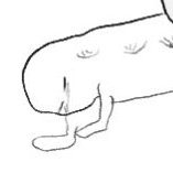 BaeksuzoDonzo's profile picture. 1차 위주 | 항마력수치 점점 줄어감 |
지능도 줄어들어감 | 인생이 그런거죠
제가 누구냐면.... 놧상이요