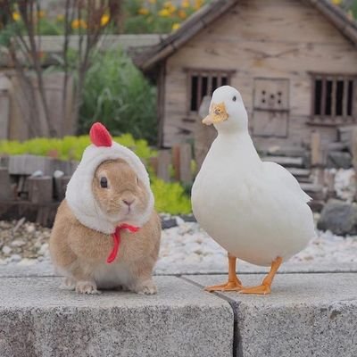 iamkhnts's profile picture. 13/03/25 สวัสดีค่าบพวกเราชาว #6CODE 🐢🏀 
#แม็กกี้บาส #KengNumping 🦆🐰