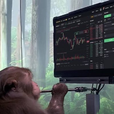 karastrades's profile picture. leveraged idiot