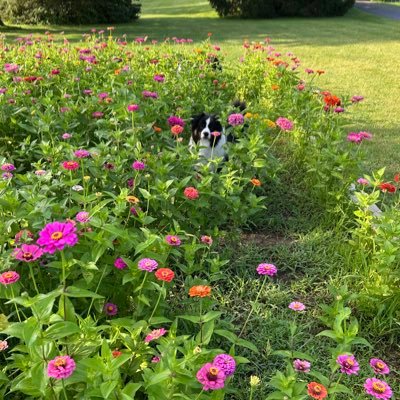 CEC1512's profile picture. 