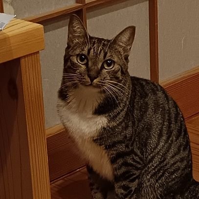 Yuhey_Suzuki's profile picture. 