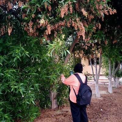 MennaAbdel66's profile picture. Medical student