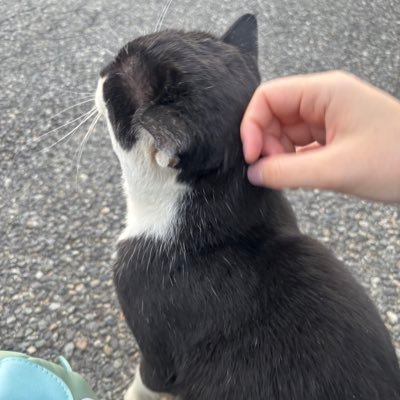 LINEKure's profile picture. 金無能無限界金欠過走行　f30 320d。リツイートメイン。

ガンダム/ゾイド/羊文学/きのこ帝国/kpop/FPS/さらば青春の光/吉川愛