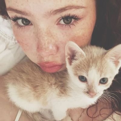 magicalldreamms's profile picture. 