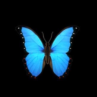 NicoleNikk59618's profile picture. Logic over gossip!