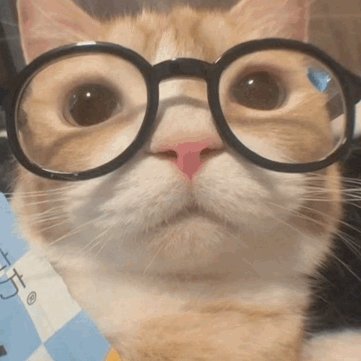 taffyistough's profile picture. call me taffy 

I like stuff and things

books and rap and games stuff like that

no. 3 chopper fan in the world

not far left not far right just far ting