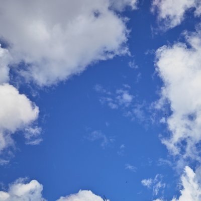 s_lelli's profile picture. I can't tolerate this cesspit site.