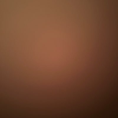 slips31's profile picture. 🐢