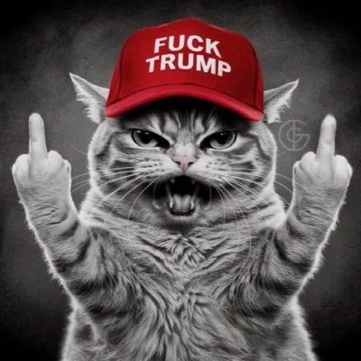 JudyVoluspa's profile picture. 🌲Northern California Redwoods Jew🌺Vegan🌻Atheist 💐I support Democracy & Israel’s right to exist & fight back🌸https://t.co/HUq0nOGvAX😶‍🌫️