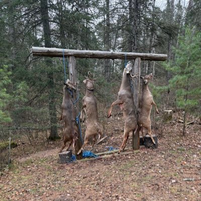 KirbyPuck3420's profile picture. Cuckmaster