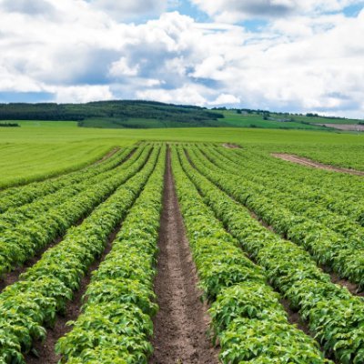 sujitdasc8's profile picture. 