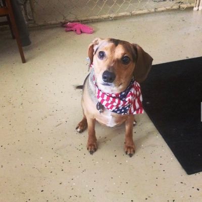 KaylaS43699's profile picture. 