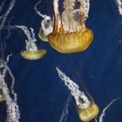 r4u_c's profile picture. パチンコ・スロットで生計立ててました。社会のお荷物です^_^