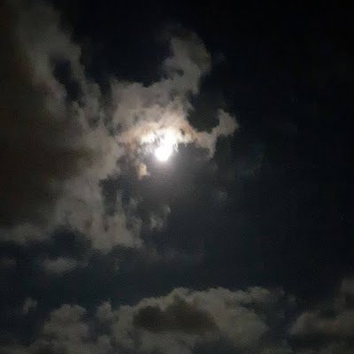 Doremifasol432's profile picture. 