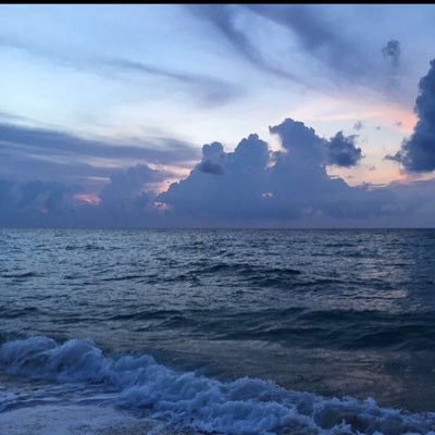 N17_as2's profile picture. على الساده المتضررين شرب الشاي