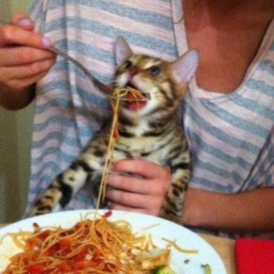 anomelly93's profile picture. I'm an anomaly 

68503743de87fb714039d8f6ce233015017933a45dc570420aa4f46ac78e535d29a8d943afa9e75c935babf75e1f07346697a8e8403cfd40ef492ed2ae1ed11c