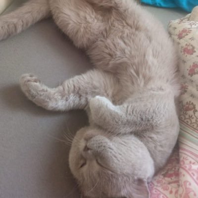 yhbvy0's profile picture. b