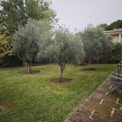 ericdelasombra's profile picture. 