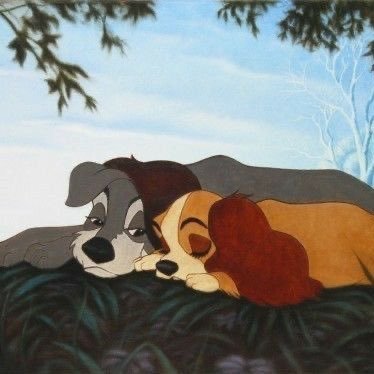 ftdtenjoyer's profile picture. mentally it’s always the 16th of june 2023