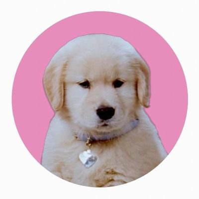 WhenDidUGetHott's profile picture. 𝓜.𝓑.𝓕. ੯‧̀͡⬮~the least sought after guy in the land • living in a fucked up romantic dark comedy