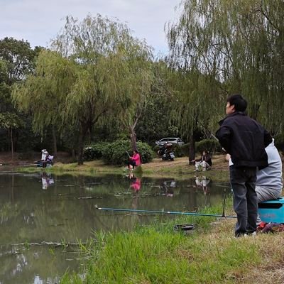 budeaplomoust's profile picture. 