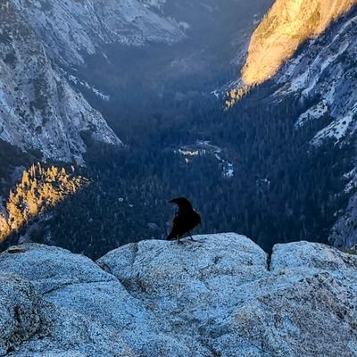 hannah_idalia's profile picture. 