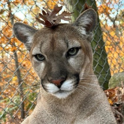 paranegroid's profile picture. 