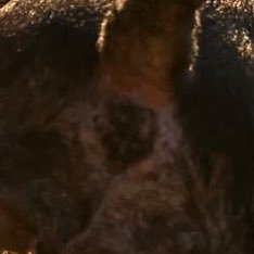 ababapesta61467's profile picture. 