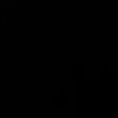 sidnxy's profile picture. 