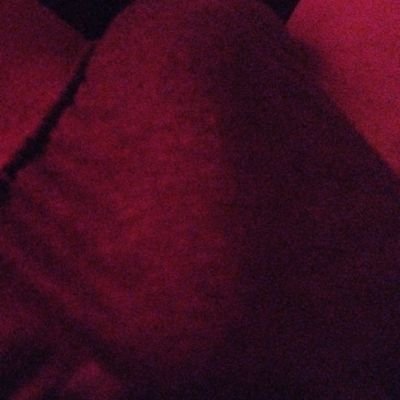 537Devil268's profile picture. 