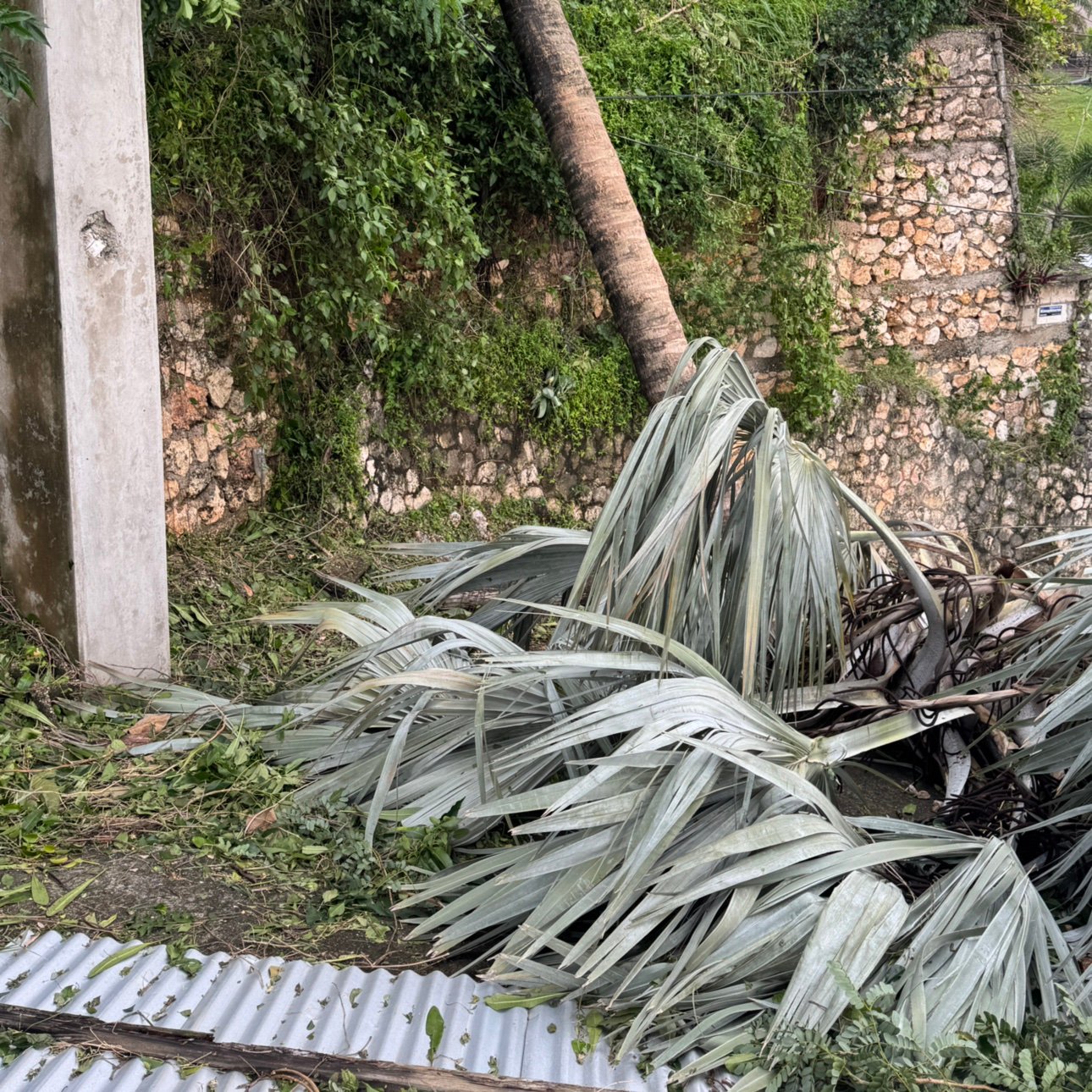 _glenjnr's profile picture. 